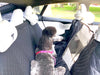 Luxury Pet Car Seat Protector - ADDITIONAL LIMITED TIME 50% AUTOMATIC DISCOUNT AT CHECKOUT - Waterproof - NEW DESIGN with MESH WINDOW!